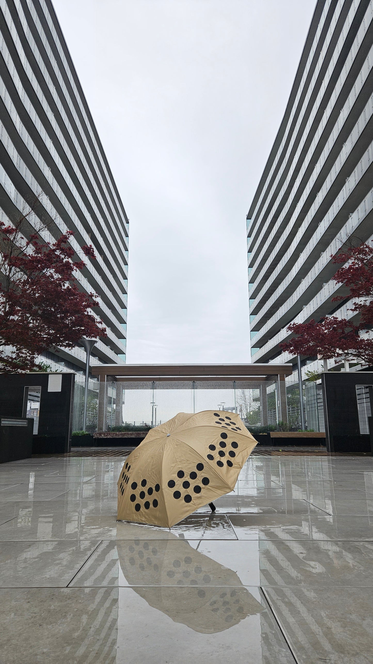 MaybeDaily Cute Bubble Tea-Themed Umbrella for Rainy Days